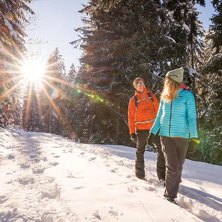 ゲストハウス Almhof 3*