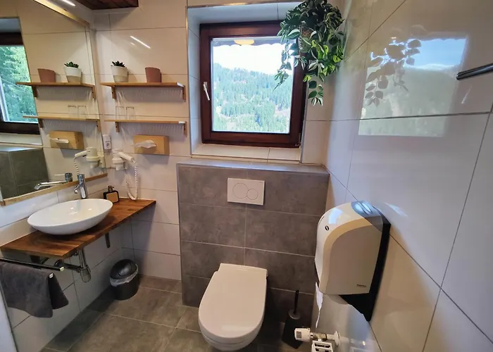 Almhof 3* アフリッツ