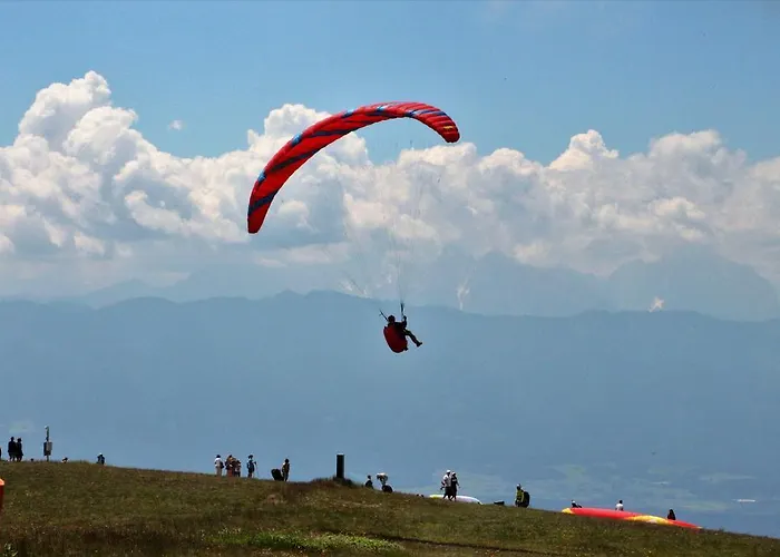 Almhof アフリッツ